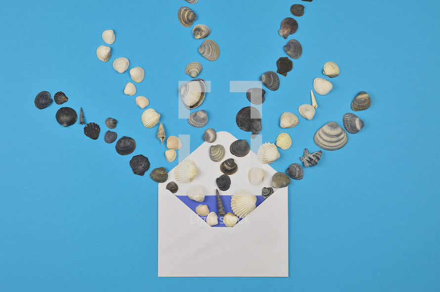 shells in an envelope 