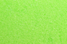 close-up of green sponge surface as texture background