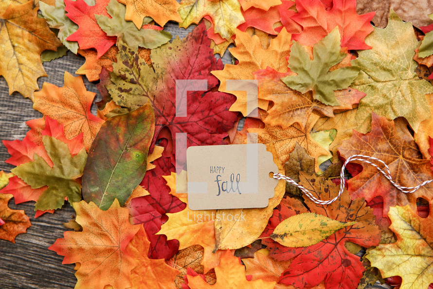 Happy Fall on a tag on fall leaves 