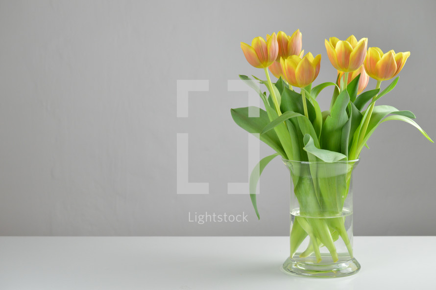 yellow tulips in a vase 