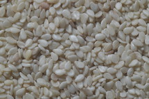 sesame seeds up close, 
sesame, seeds, lot, plenty, grow, growing, growth, plant, plants, food, eat, eating, sowing, pip, kernel, pit, sow, close, close up, little, big, fertile, prolific, breedy