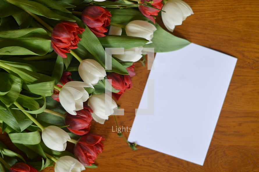 bouquet of tulips with blank white card with copy space for own text