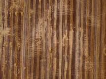 aerial drone view of harvested mowed golden wheat field on autumn day.