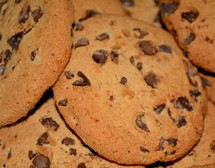 fresh baked chocolate chip cookies 