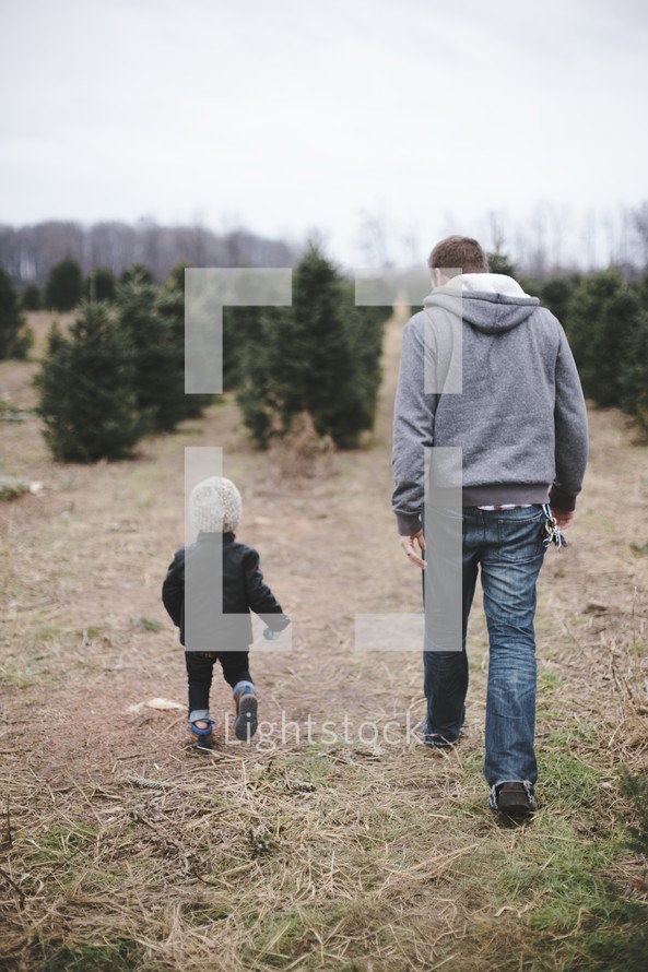 father, son, man, outdoors, boy, Christmas tree lot, Christmas, Christmas trees 