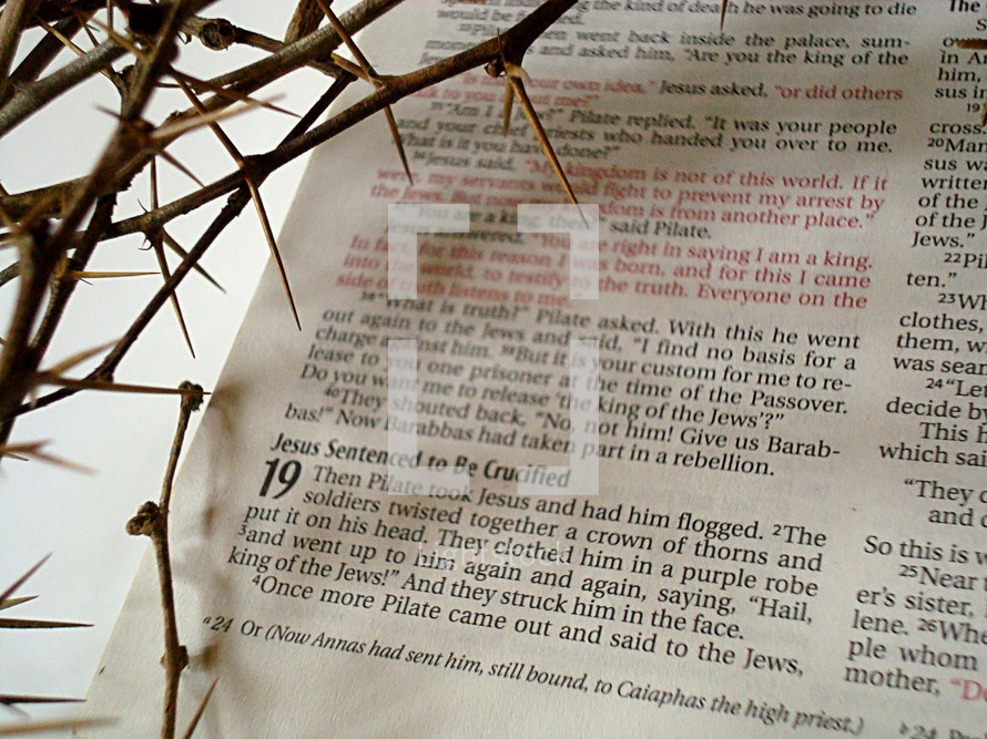 crown of thorns over the pages of a Bible 