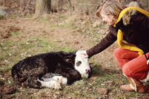 girl petting a baby cow