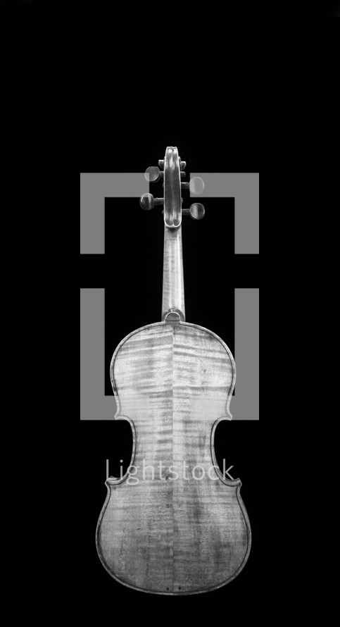 back of a violin 