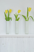 yellow spring tulips in vases 