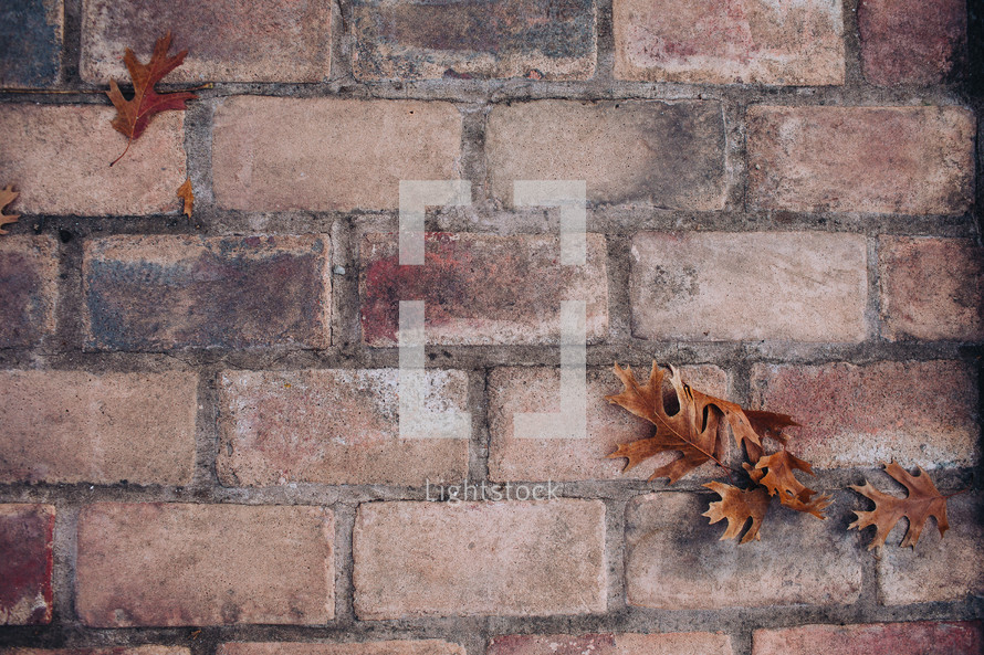 fall leaves and brick 