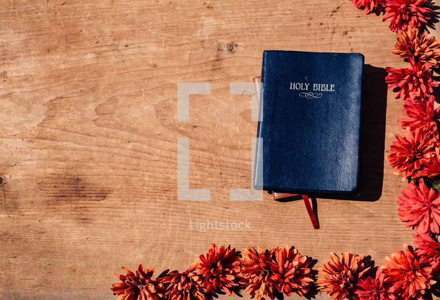 Holy Bible, journal, and orange mums border 