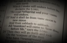 Isaiah 66:23 