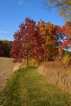 Bright autumn colors fill the landscape with vibrant red and orange foliage against a clear blue sky. A grassy path winds through the middle