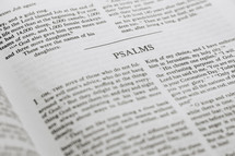 The Holy scripture of the Psalms
