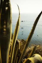 Boats Moored In Calm Sea