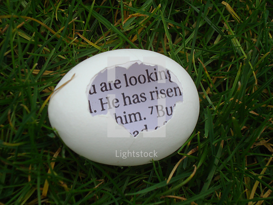 eggshell in the gras with a piece of the bible inside saying: HE HAS RISEN!, 

