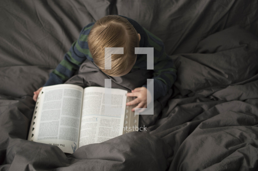 toddler flipping through the pages of a Bible