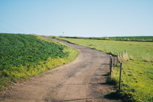 Path through rural field