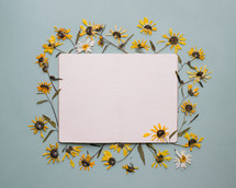 sunflower border and frame 