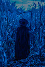 Plague doctor or death woman at night in thickets of corn field. Creepy raven mask, halloween, historical terrible protection costume concept
