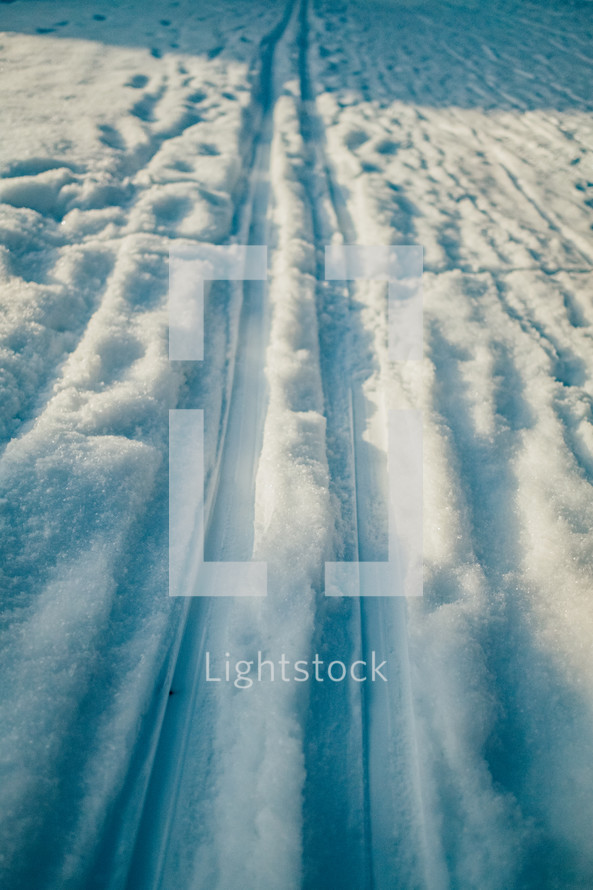 tracks in snow 