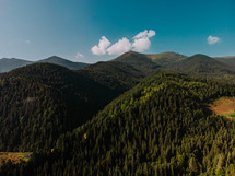 Amazing view to mountains covered pine trees, clouds. Drone view. Summer in Europe Carpathians. Concept of flight, nature, breathtaking beauty of our planet. High quality photo