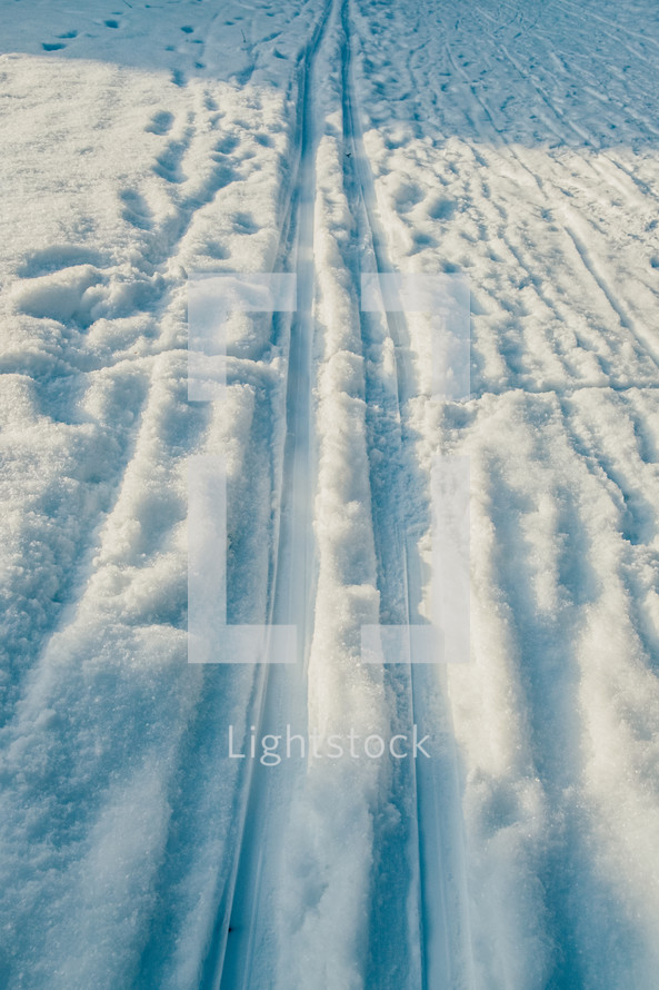 tracks in snow 