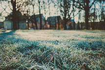 frost on a lawn 