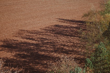 Plant shadows in dirt on a farm