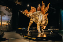 October 2023 - Prague, Czechia. Stegosaurus model in Dinosauria museum, modern exhibition for children and adults. Education concept. High quality photo