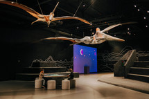 October 2023 - Prague, Czechia. Flying pterodactyl, pteranodon model in Dinosaur Museum. Modern exhibition for children and adults. Education concept. High quality photo
