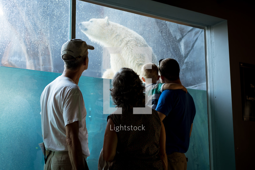 people watching a polar bear at a zoo 
