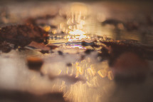 bokeh sunlight over a puddle 