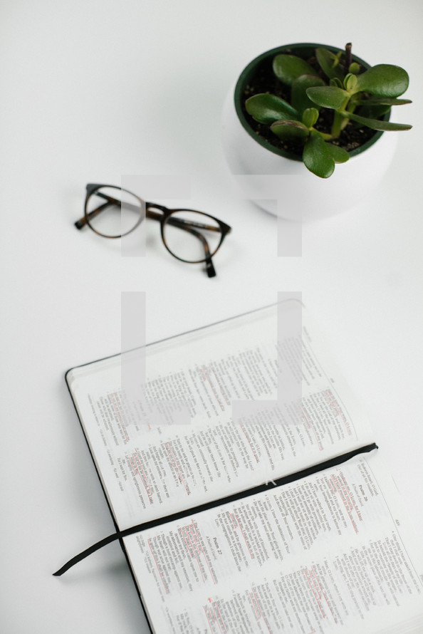 open Bible, house plant, reading glasses on a desk 