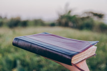 holding up a Bible outdoors 