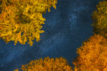 Starry sky from the autumn forest 