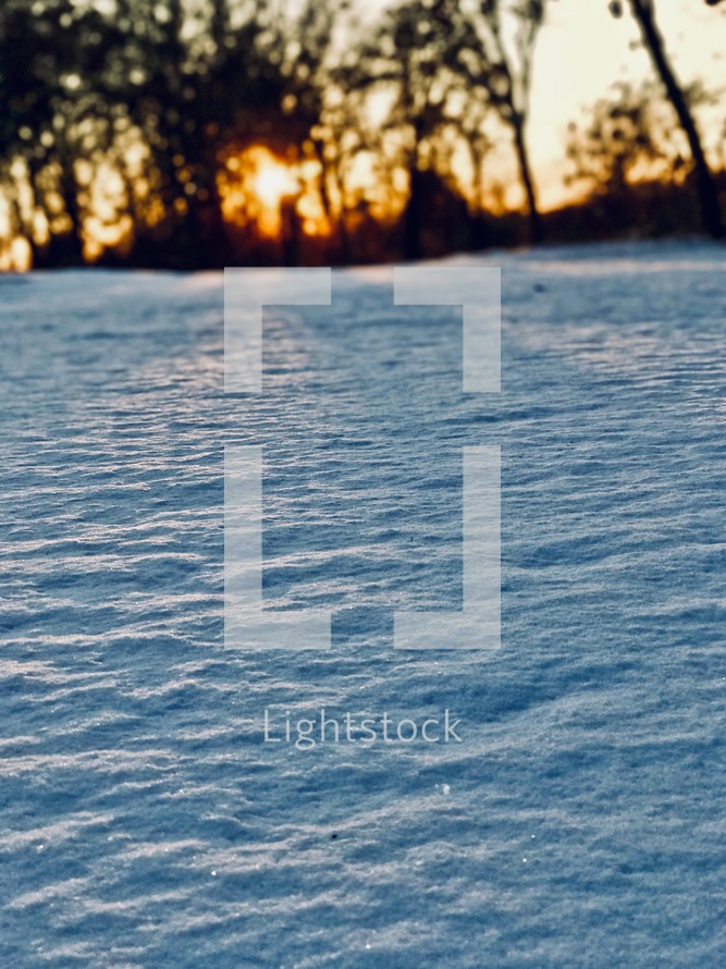 snow on the ground at sunset 
