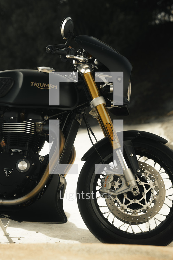 Triumph Thruxton motorcycle, cafe racer, Triumph motorbike, classic bike, new custom motorcycle