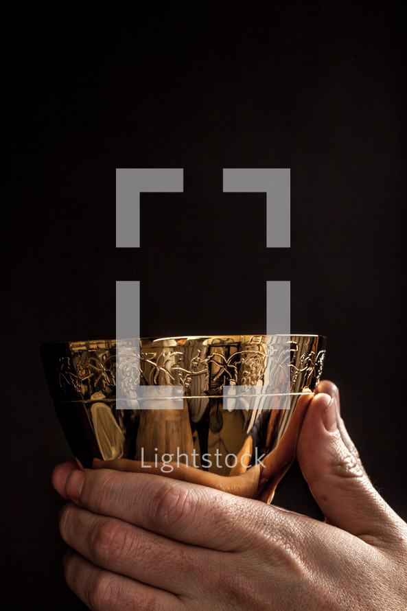 Hands holding a golden wine goblet.
