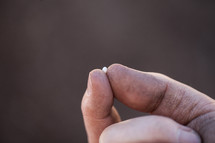 pinched finger holding a mustard seed