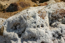 rock covered in salt on the shore of the Dead Sea