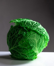 Fresh savoy cabbage isolated on a gray background