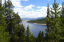 view of a lake through tall pines