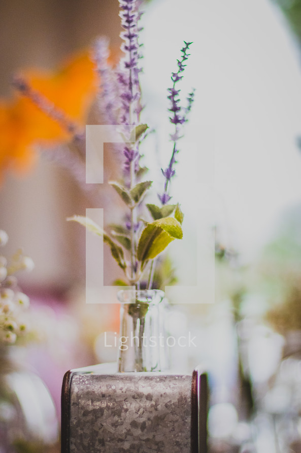 lavenders flowers in a vase 