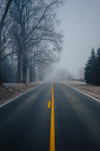 fog over a road lined by bare trees in winter 