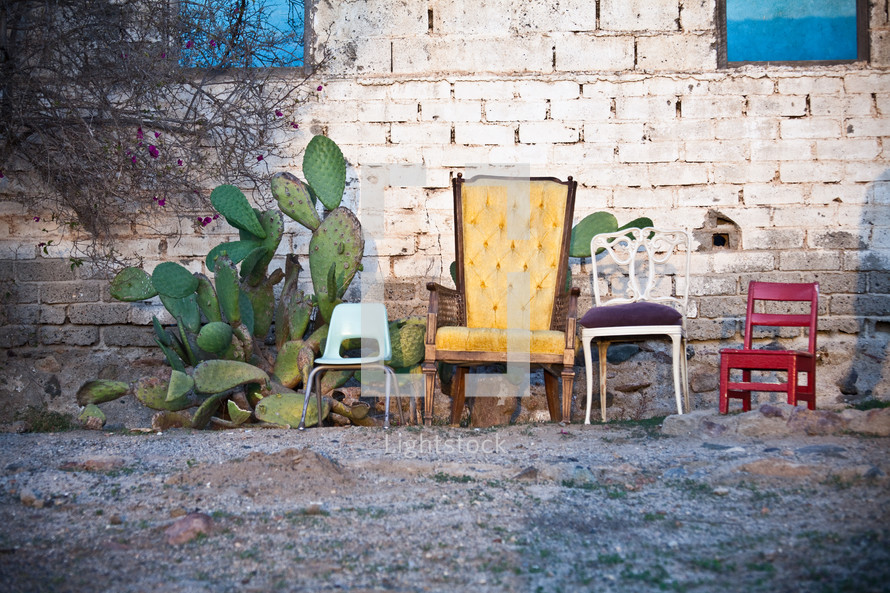 Family chairs and cactus outside by a brick wall.