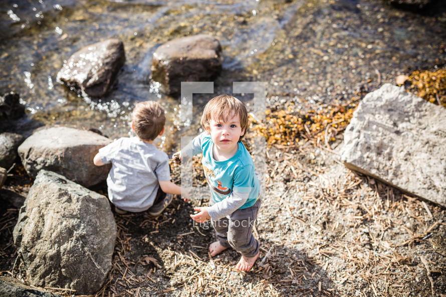 children looking for shells along a shore 
