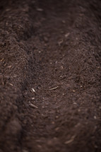soil in the garden 