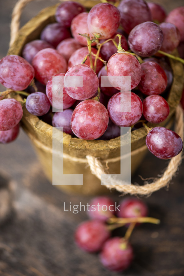 red grapes 