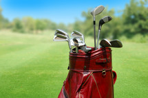 golf bag with golf clubs 